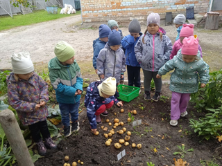 Урожай собирай!