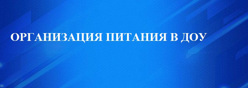 Организация питания