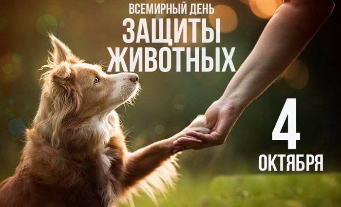 Акция "Мой милый друг"