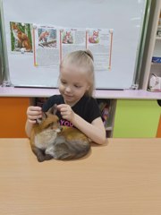 Экологический праздник «День лисы» у юных эколят "Калинки"