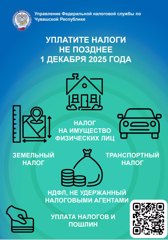 Оплата налогов - до 1 декабря