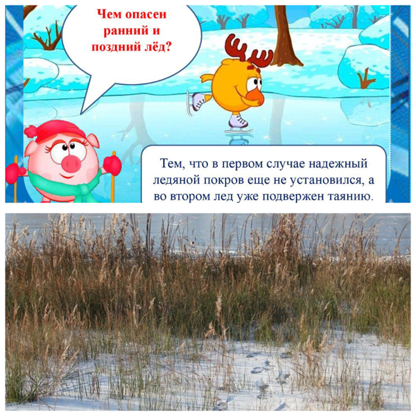 Чем опасен ранний и поздний лед?