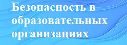 Безопасность в образовательных организациях