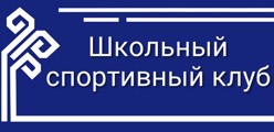 Школьный спортивный клуб "Медведи"