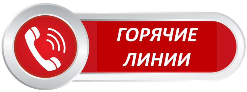 О проведении горячей линии