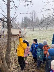 Заботимся о пернатых друзьях