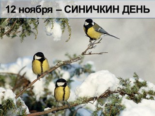 Веселая синица морозов не боится...