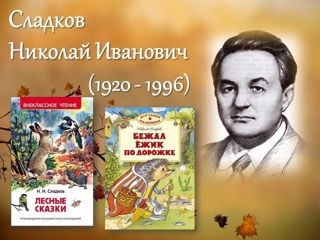 7b31daa1-df1f-58e6-bdf2-9b2bb216b184.jpg