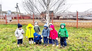 Прогулки в ноябре