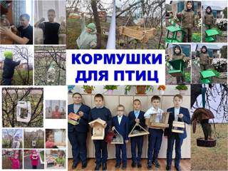 В Синичкин день в Ядринском муниципальном округе развешиваются кормушки для птиц
