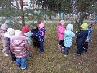 Наблюдения на прогулке