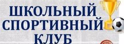 Школьный спортивный клуб
