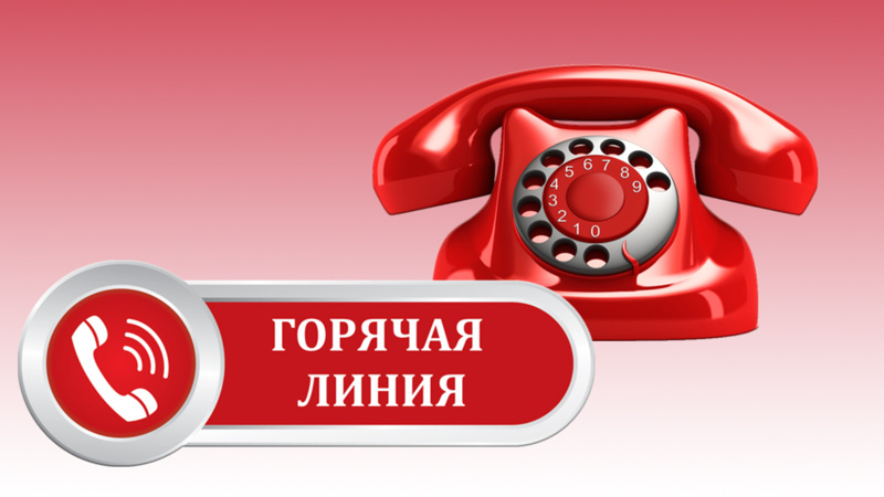 О проведении горячей линии