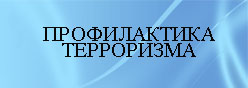 Профилактика терроризма