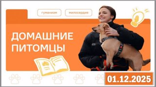 Разговоры о важном "Домашние питомцы"