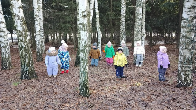 Наблюдение за заморозками