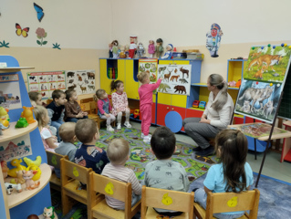 В мире диких животных