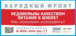 Народный фронт