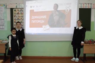 Они делают наш мир добрее: в Кувакинской школе прошёл "Разговор о важном", посвященный домашним питомцам