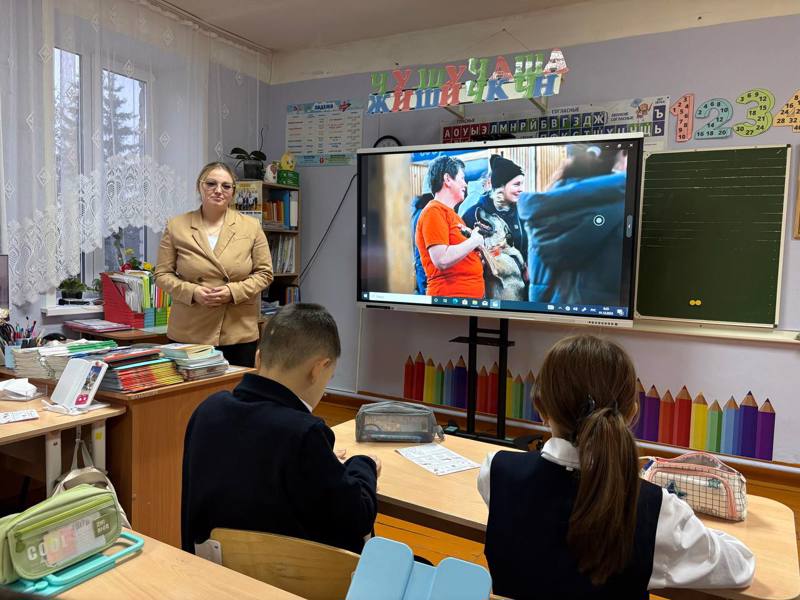 Разговоры о важном. Домашние питомцы