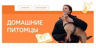"Разговоры о важном", на тему: "Домашние питомцы".