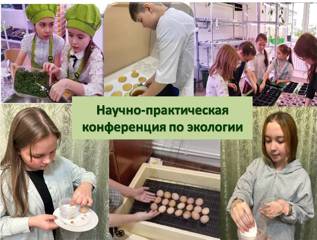 Лучшие исследовательские работы школьников предоставлены для участия в республиканской НПК  по экологии