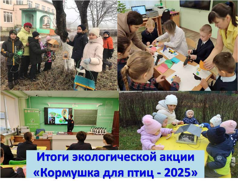 Итоги муниципальной экологической акции «Кормушка для птиц»