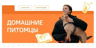 "Разговоры о важном" на тему "Домашние питомцы"