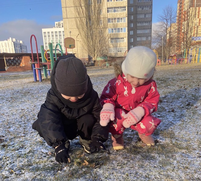 Наблюдение за заморозками