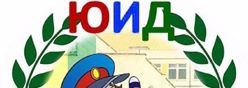 Юные инспектора движений