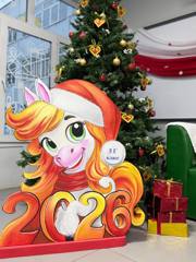 img_20251212_165644_619.jpg