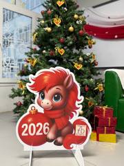 img_20251212_165644_844.jpg