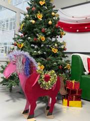 img_20251212_165657_097.jpg
