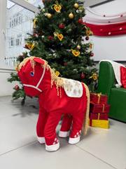 img_20251212_165704_543.jpg