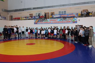 Новогодний турнир по вольной борьбе на призы СПК "Комсомольский молочный комбинат"