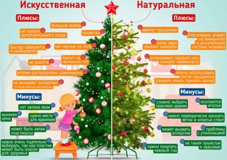 Новогодняя ель: правила безопасности  (Рекомендация территориального отдел Управления Роспотребнадзора по  Чувашской Республике - Чувашии в Батыревском районе)