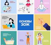 Основы и рекомендации ЗОЖ
