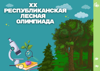 XX республиканская лесная олимпиада в Цивильском муниципальном округе.