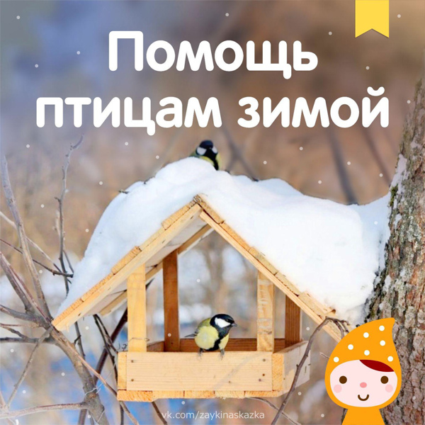Помощь птицам зимой