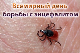 22 февраля – Всемирный день борьбы с энцефалитом.