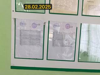 img_6914.jpeg