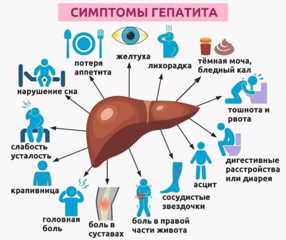 Профилактика гепатита
