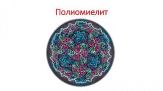 Полиомиелит и его профилактика