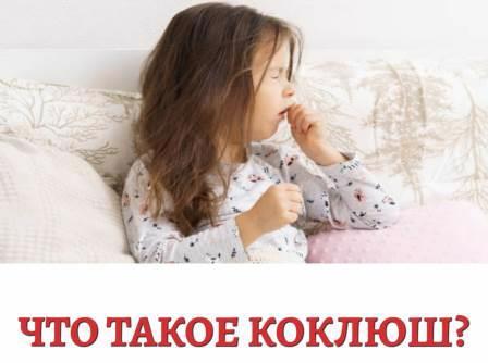 Профилактика коклюша