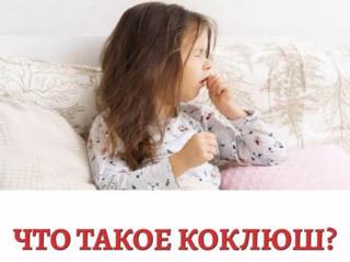 Профилактика коклюша