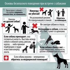 Памятка профилактики случаев нападения собак на детей в местах скопления безнадзорных собак.