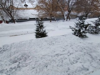 img_20260303_111513.jpg