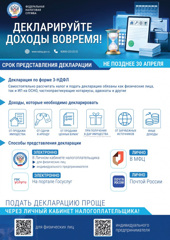Декларационная кампания по налогу на доходы.