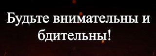 Видеоролики