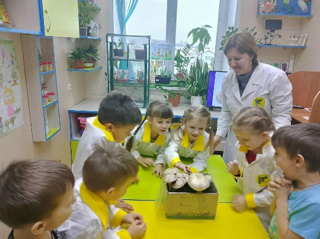 ПЕРВЫЙ УРОЖАЙ ШАМПИНЬОНОВ: ЮНЫЕ МИКОЛОГИ СОБИРАЮТ ГРИБЫ!